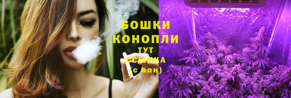 прущие грибы Покровск