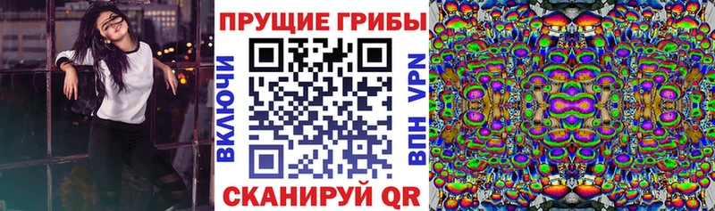 Псилоцибиновые грибы Cubensis  МЕГА ссылки  Карачев  где продают наркотики 