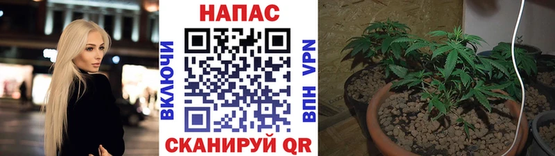 МАРИХУАНА Bruce Banner  Карачев 